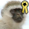 The King Monkey Badge