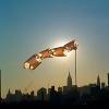 Foresaken: Flying Kites in Washington Square