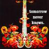 tomorrow never knows.