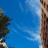 Sunny Skies